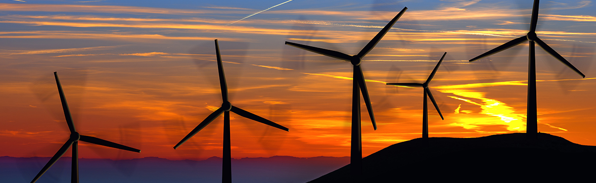 Wind turbines help fight the global climate crisis.